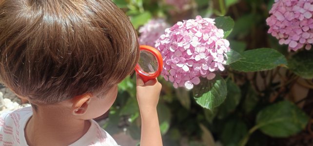 ¿Qué es una Madre de Día? ¿Qué es una Madre de Día?